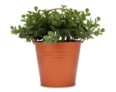 Foto 1 | Árbol de Jade Artificial con Maceta Starhaus 20 cm