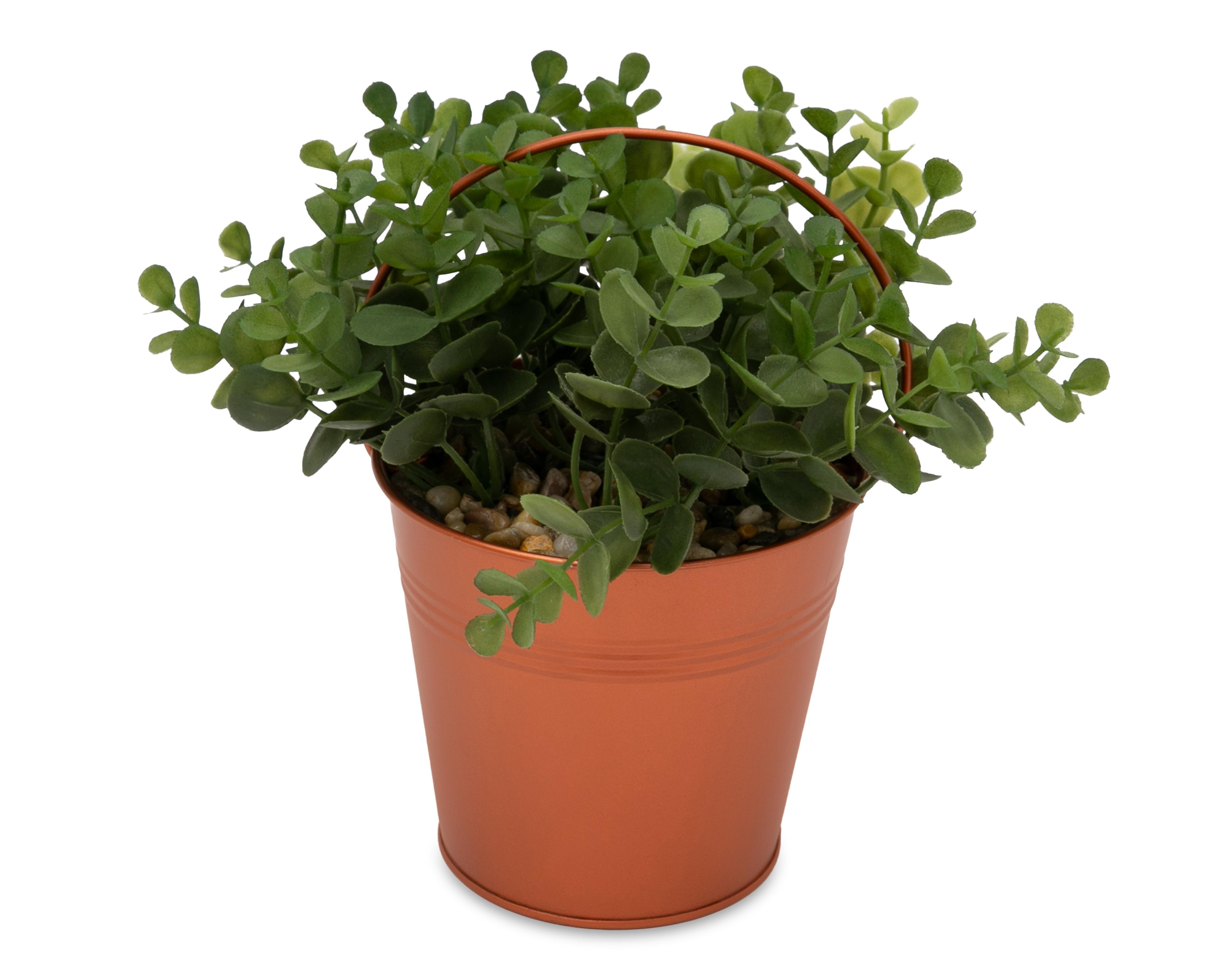 Foto 3 pulgar | Árbol de Jade Artificial con Maceta Starhaus 20 cm