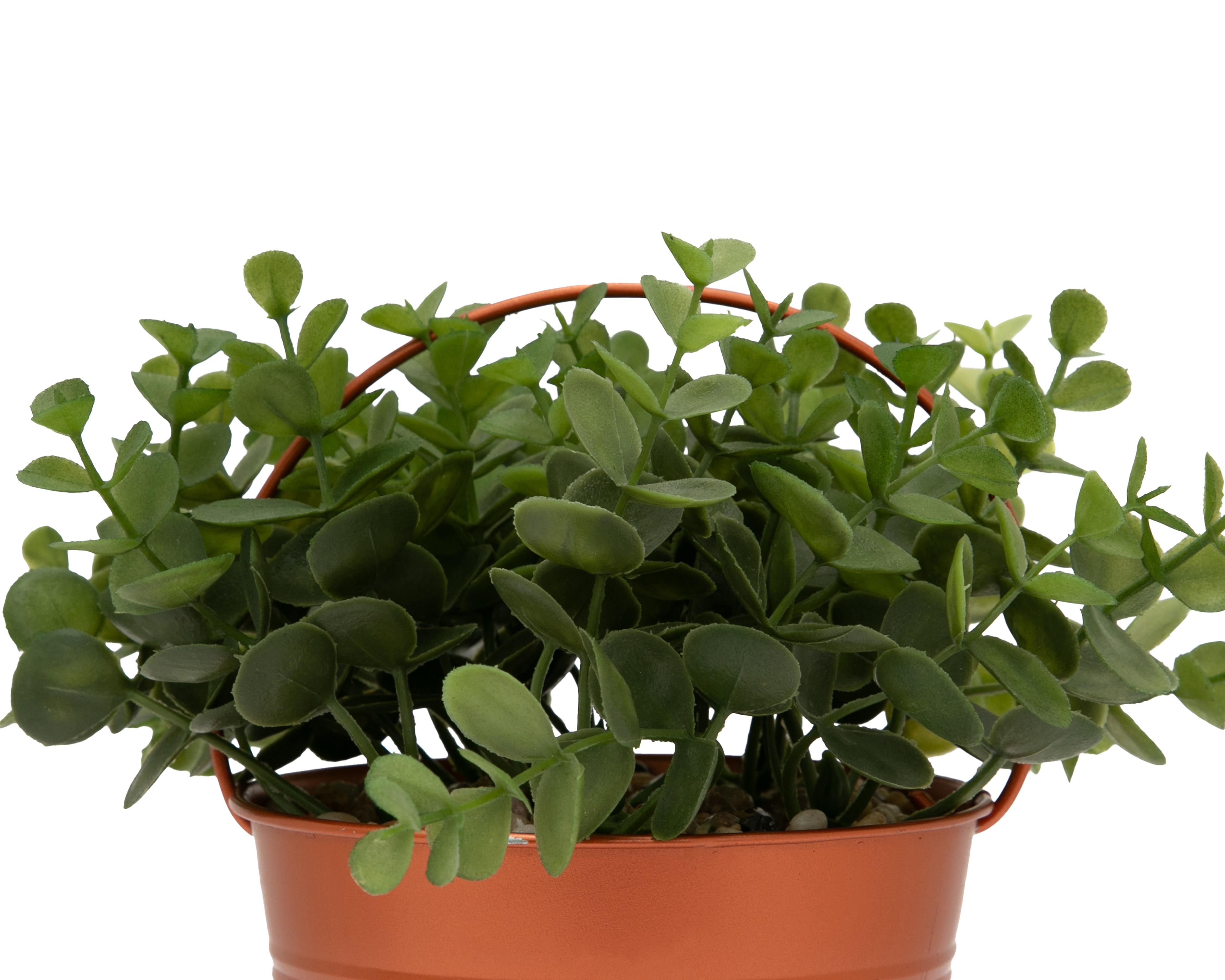 Foto 4 pulgar | Árbol de Jade Artificial con Maceta Starhaus 20 cm