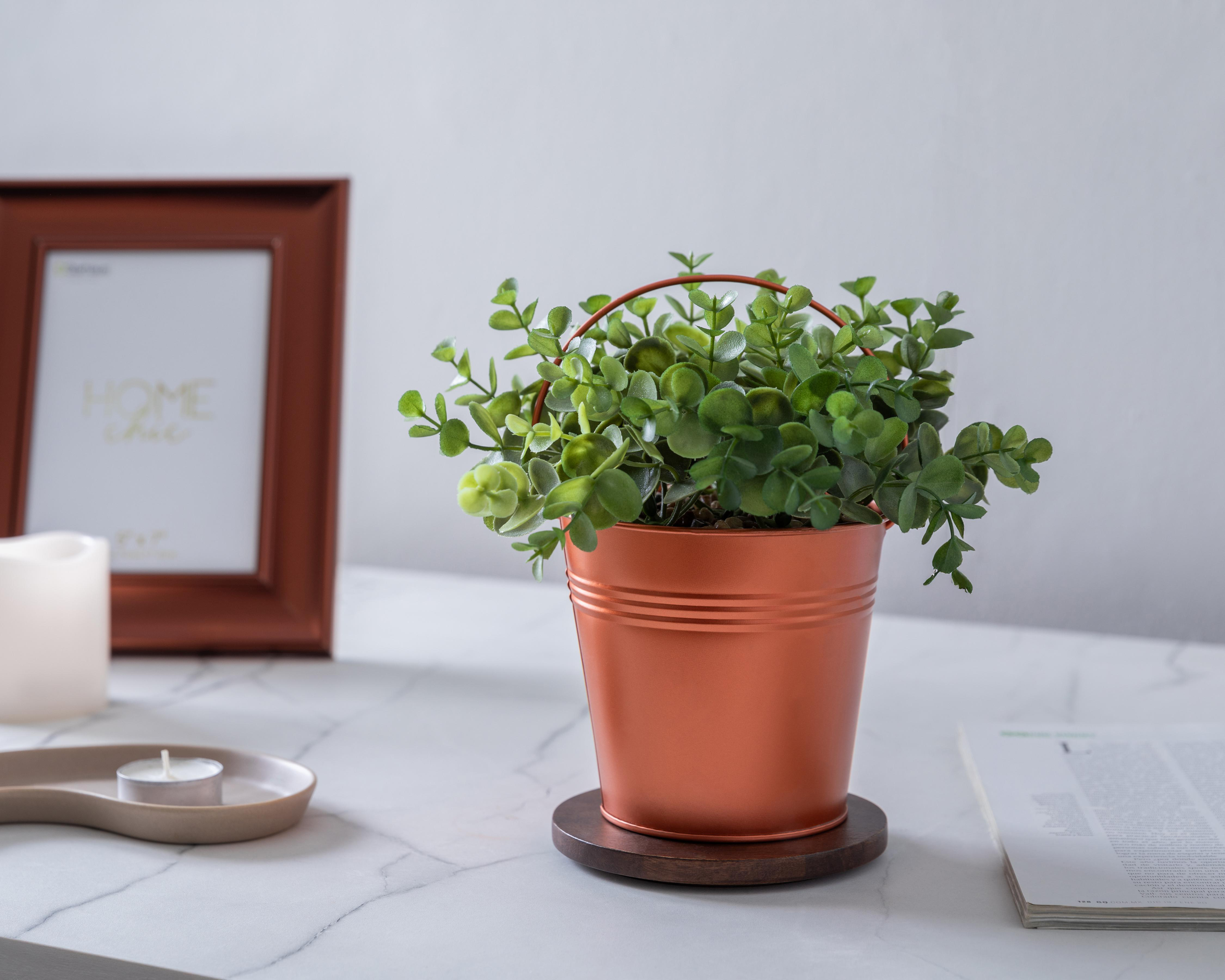 Foto 5 pulgar | Árbol de Jade Artificial con Maceta Starhaus 20 cm