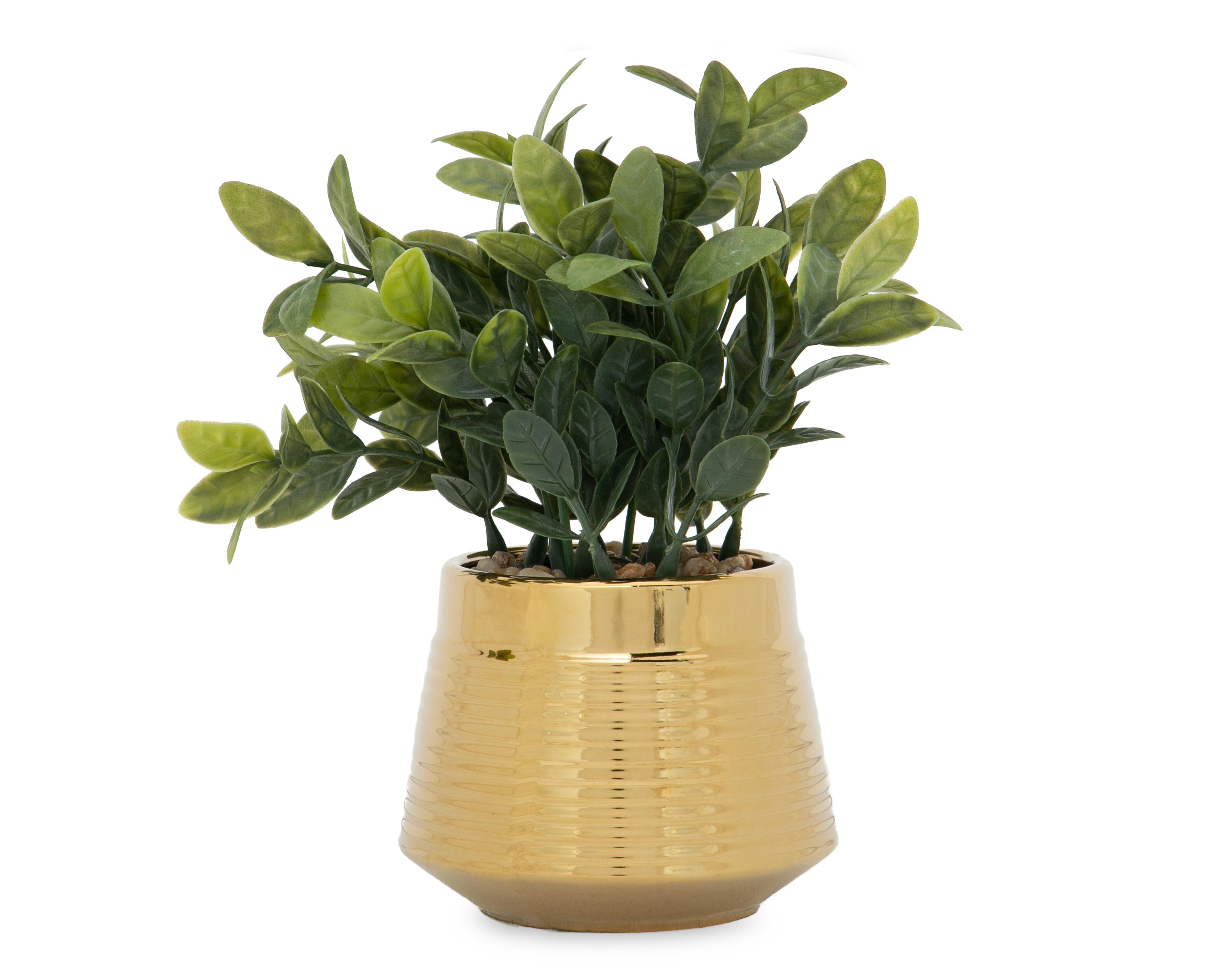 Eucalipto Artificial con Maceta Starhaus 20 cm