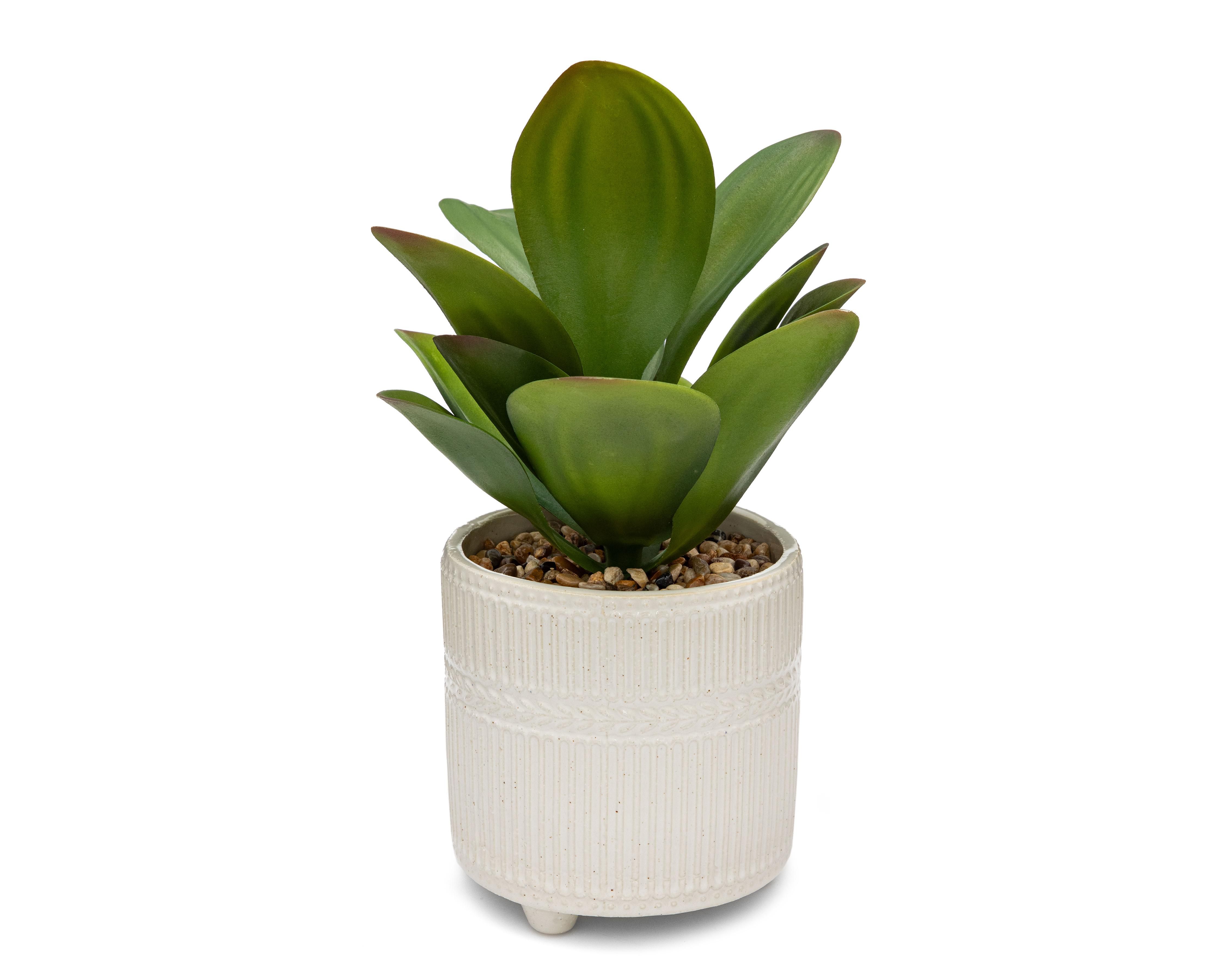 Orquídea con Maceta Starhaus 30 cm