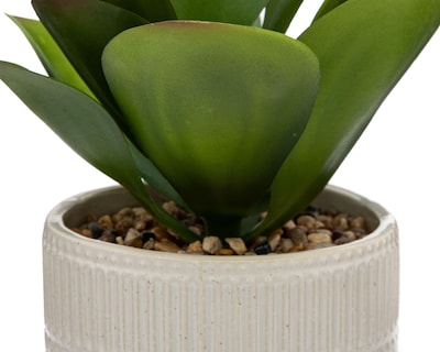 Foto 3 | Orquídea con Maceta Starhaus 30 cm