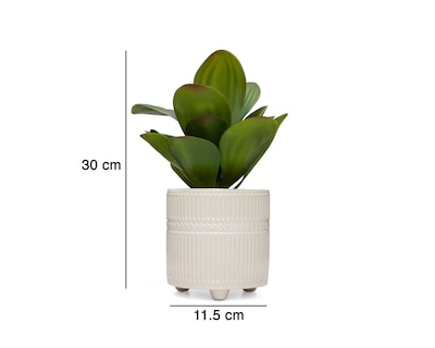 Foto 5 | Orquídea con Maceta Starhaus 30 cm