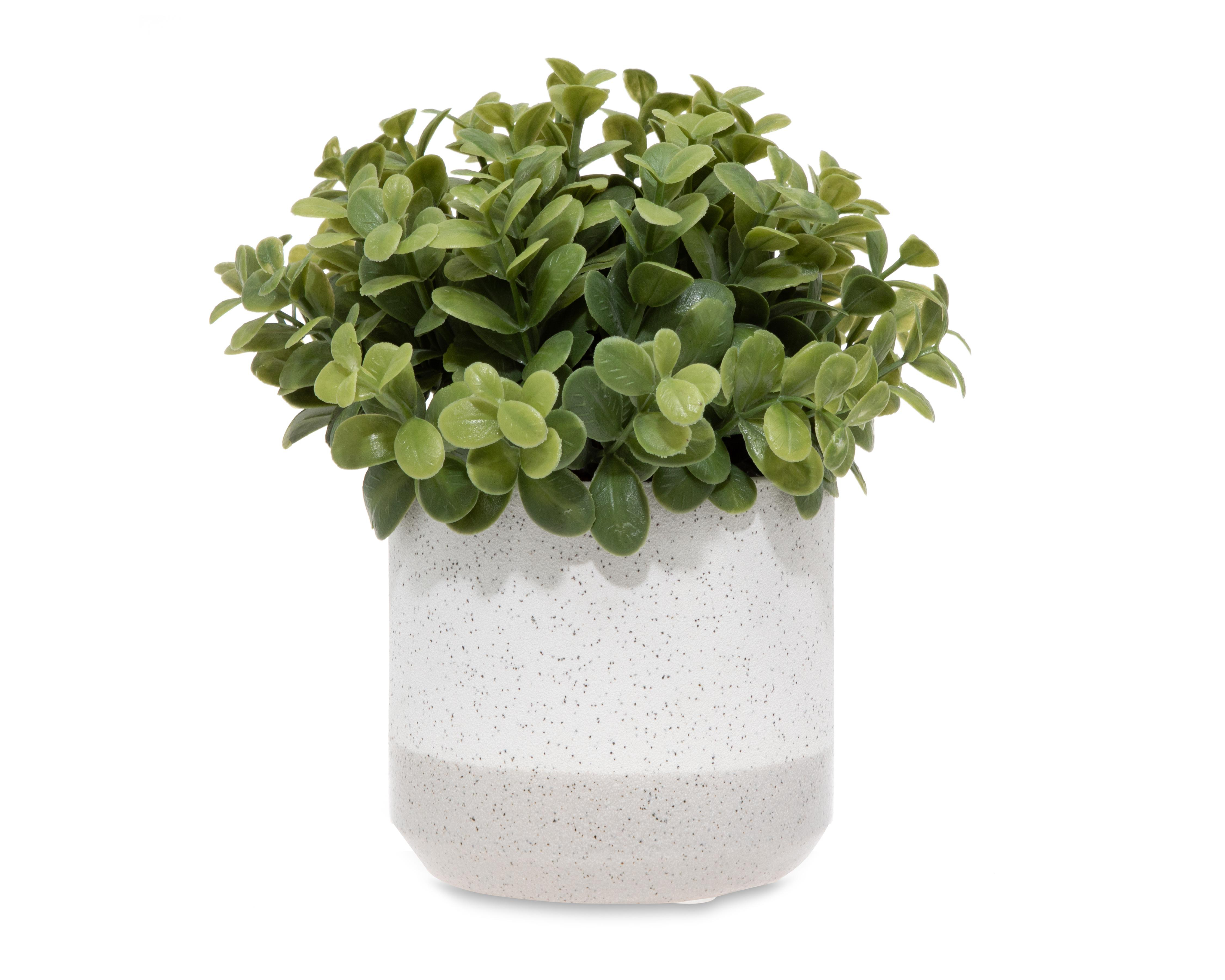 Callisa Artificial con Maceta Starhaus 19 cm