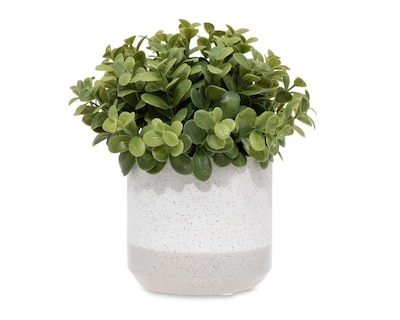 Foto 1 | Callisa Artificial con Maceta Starhaus 19 cm
