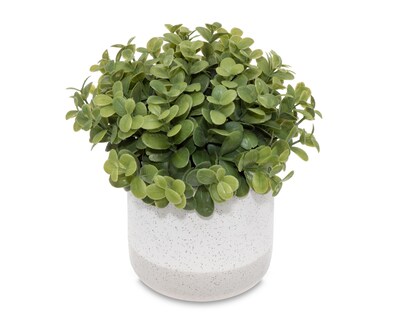 Foto 2 | Callisa Artificial con Maceta Starhaus 19 cm