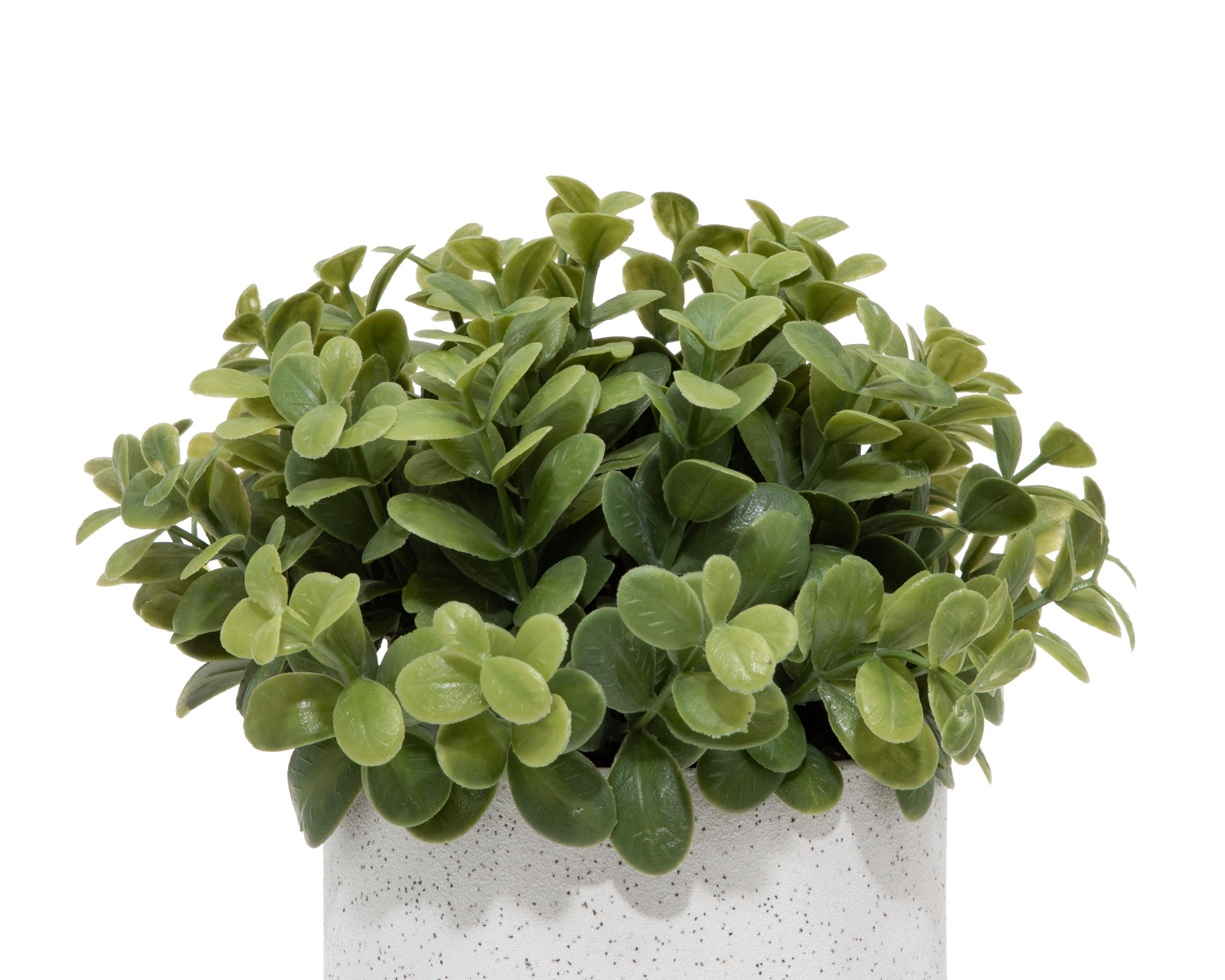Foto 4 pulgar | Callisa Artificial con Maceta Starhaus 19 cm
