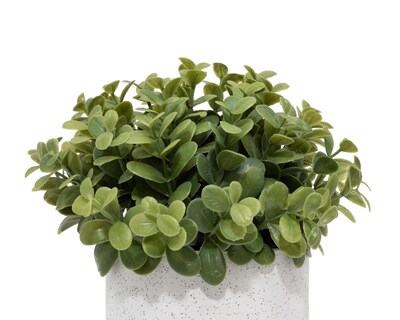 Foto 3 | Callisa Artificial con Maceta Starhaus 19 cm