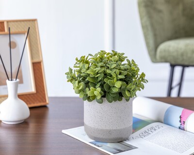 Foto 4 | Callisa Artificial con Maceta Starhaus 19 cm