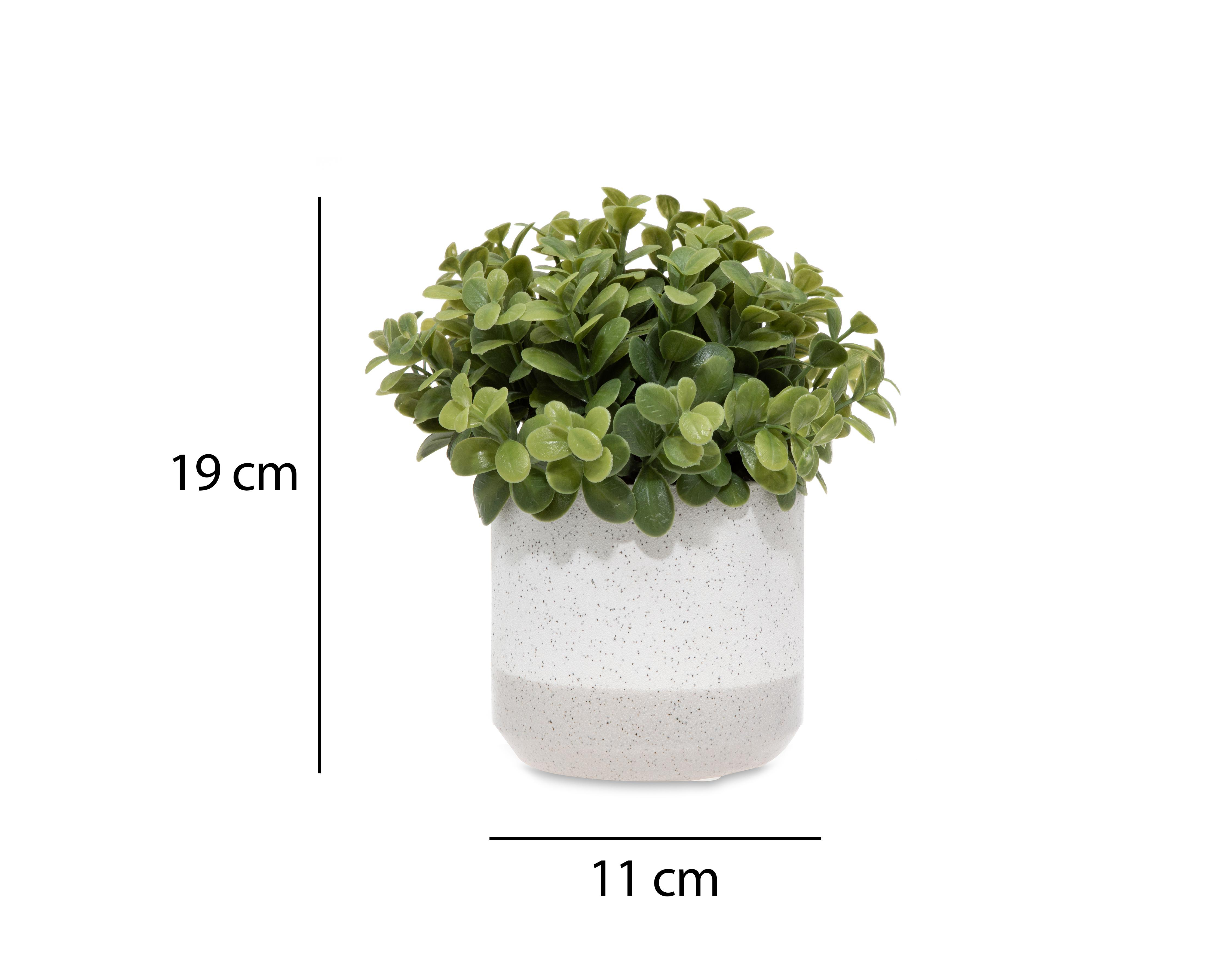 Foto 6 pulgar | Callisa Artificial con Maceta Starhaus 19 cm