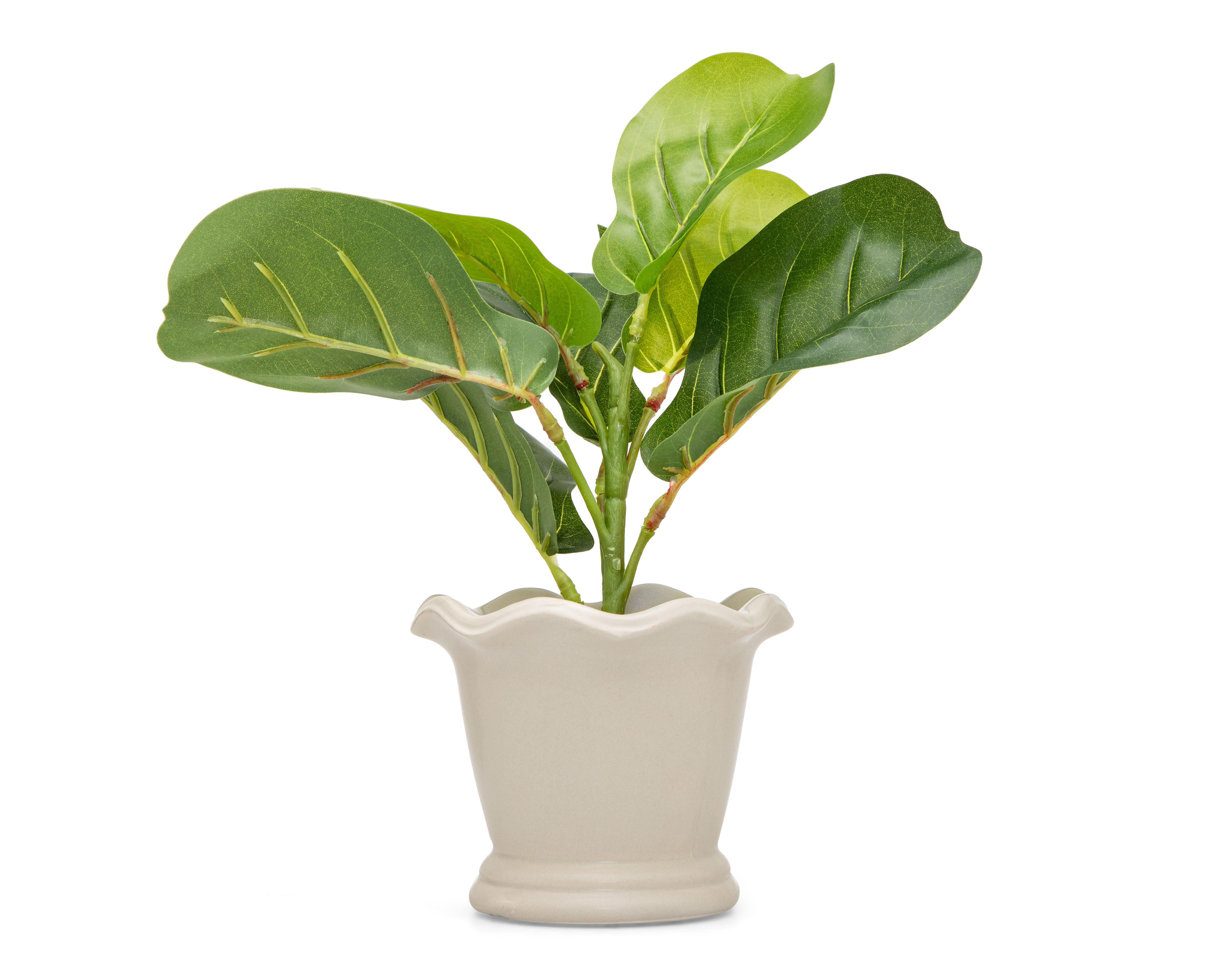 Ficus Artificial con Maceta Starhaus 32 cm