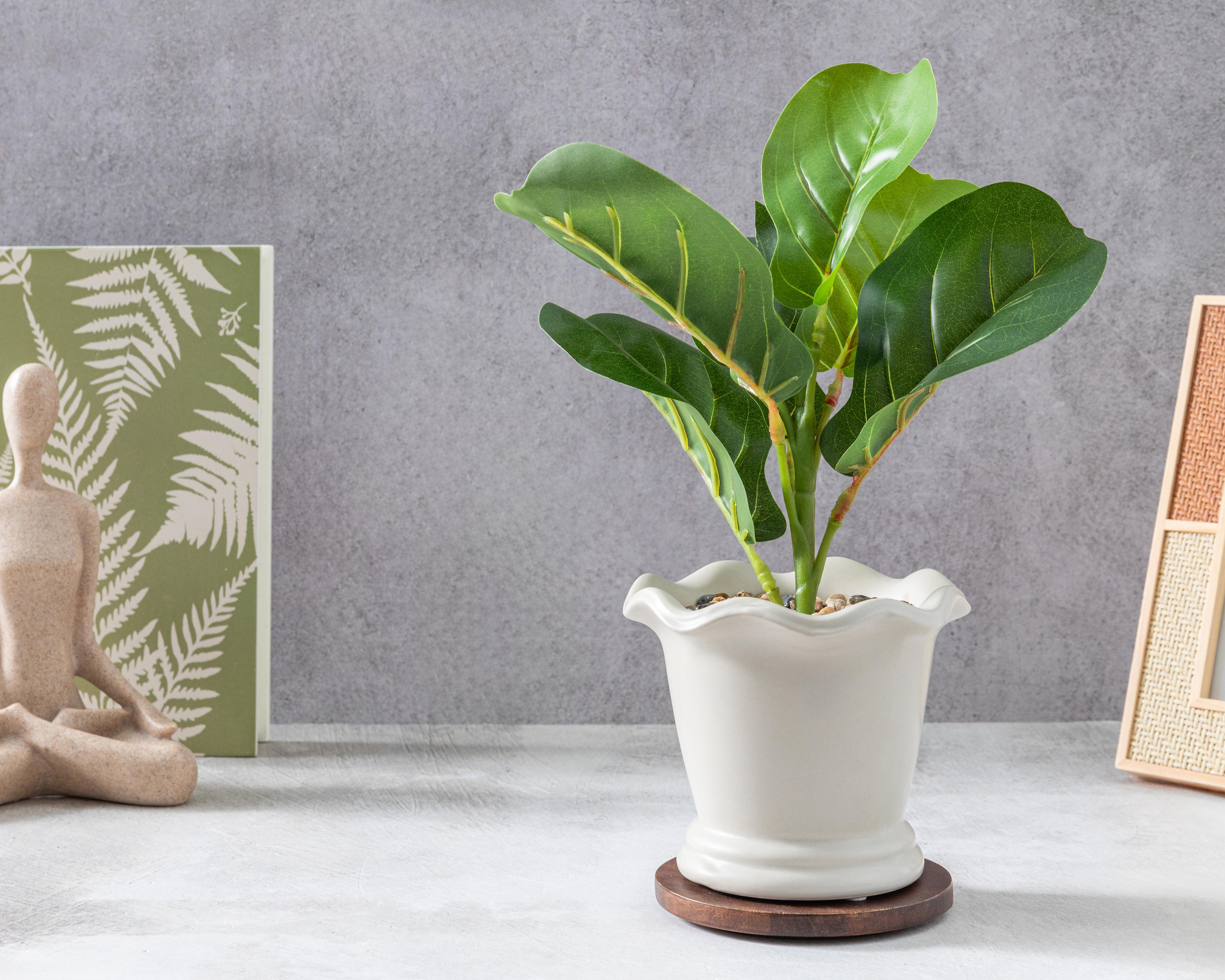 Foto 5 pulgar | Ficus Artificial con Maceta Starhaus 32 cm