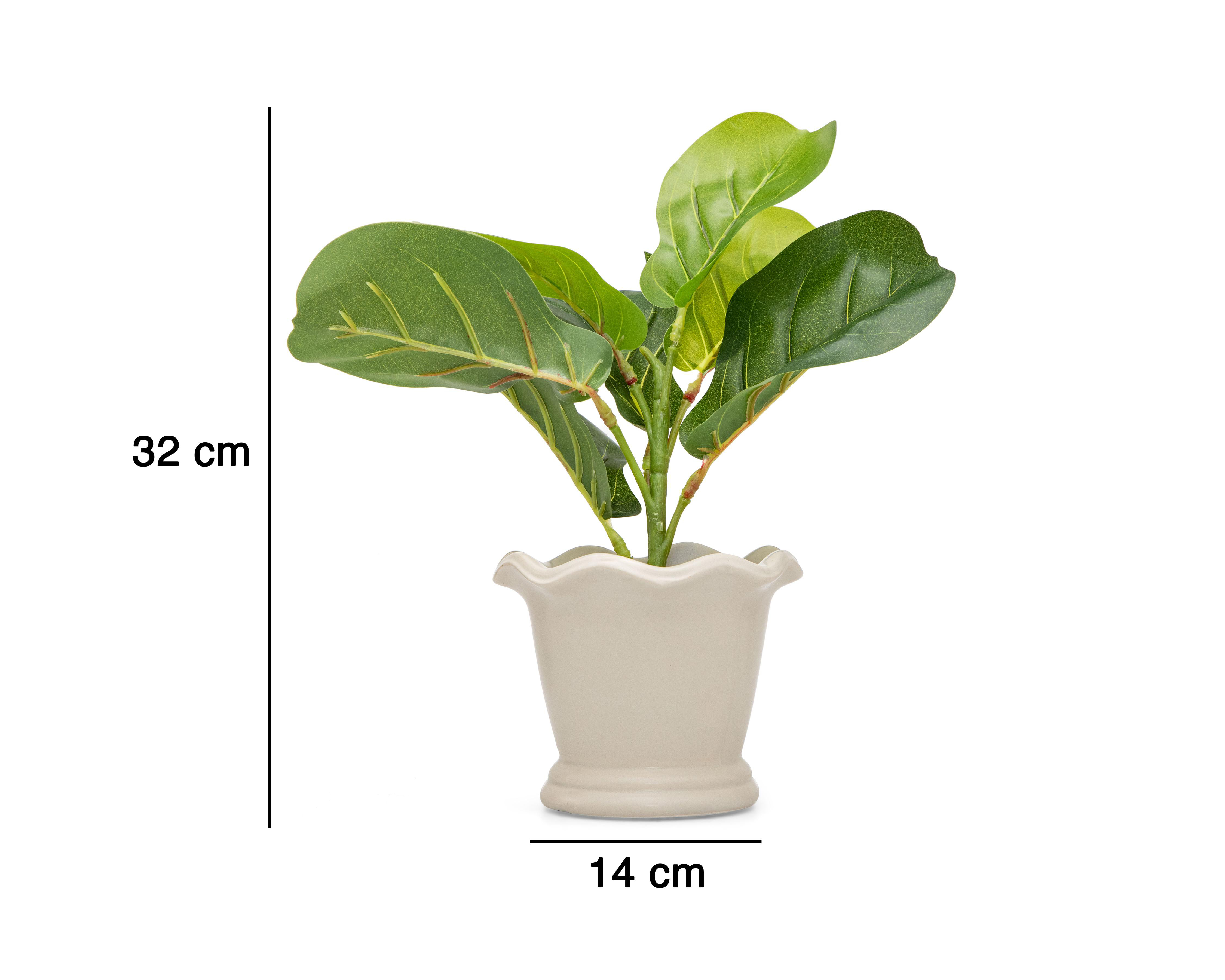Foto 6 pulgar | Ficus Artificial con Maceta Starhaus 32 cm