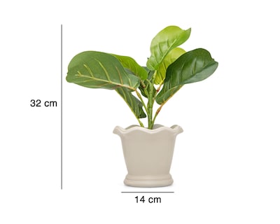 Foto 5 | Ficus Artificial con Maceta Starhaus 32 cm
