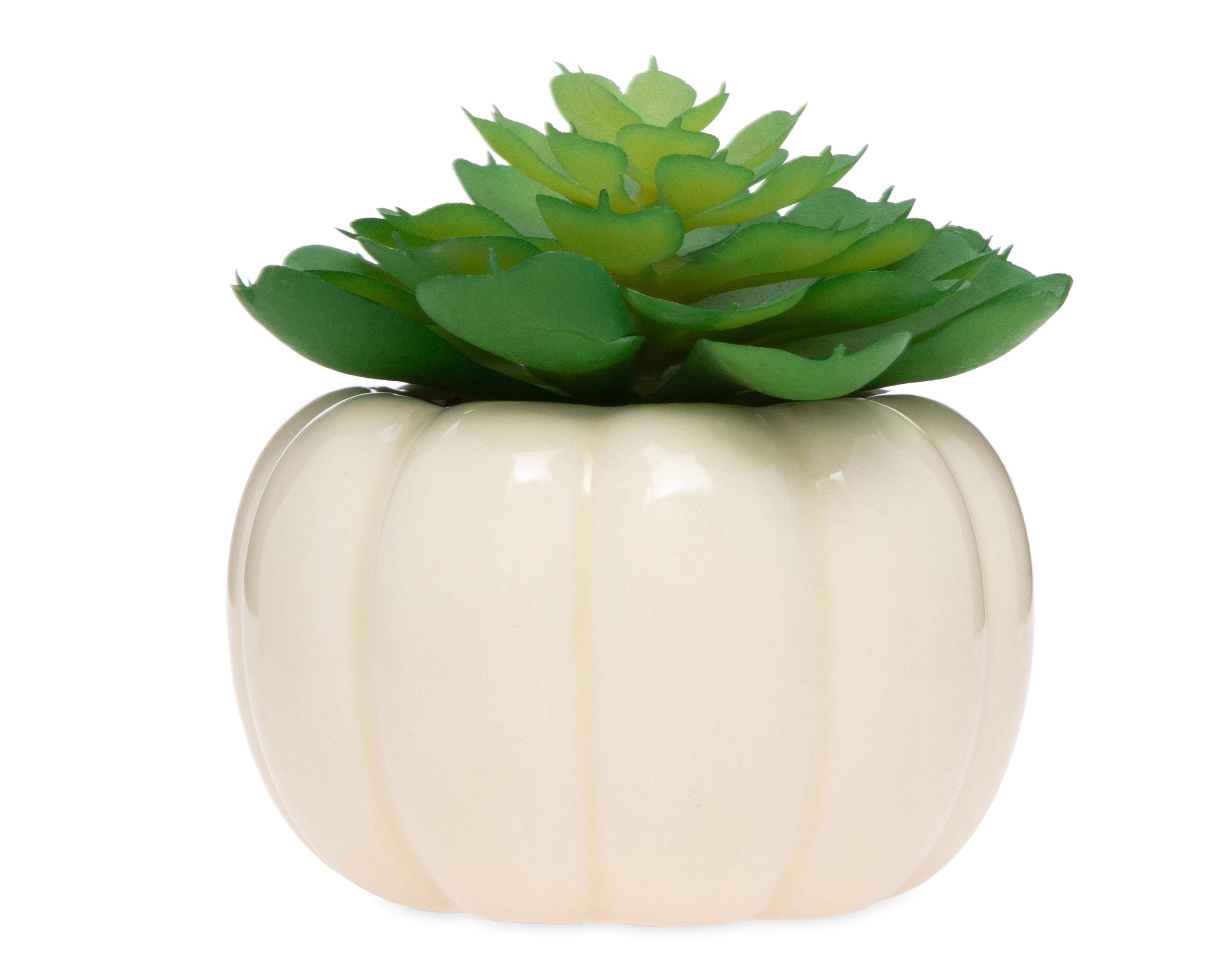 Suculenta Artificial con Maceta Starhaus 8 cm