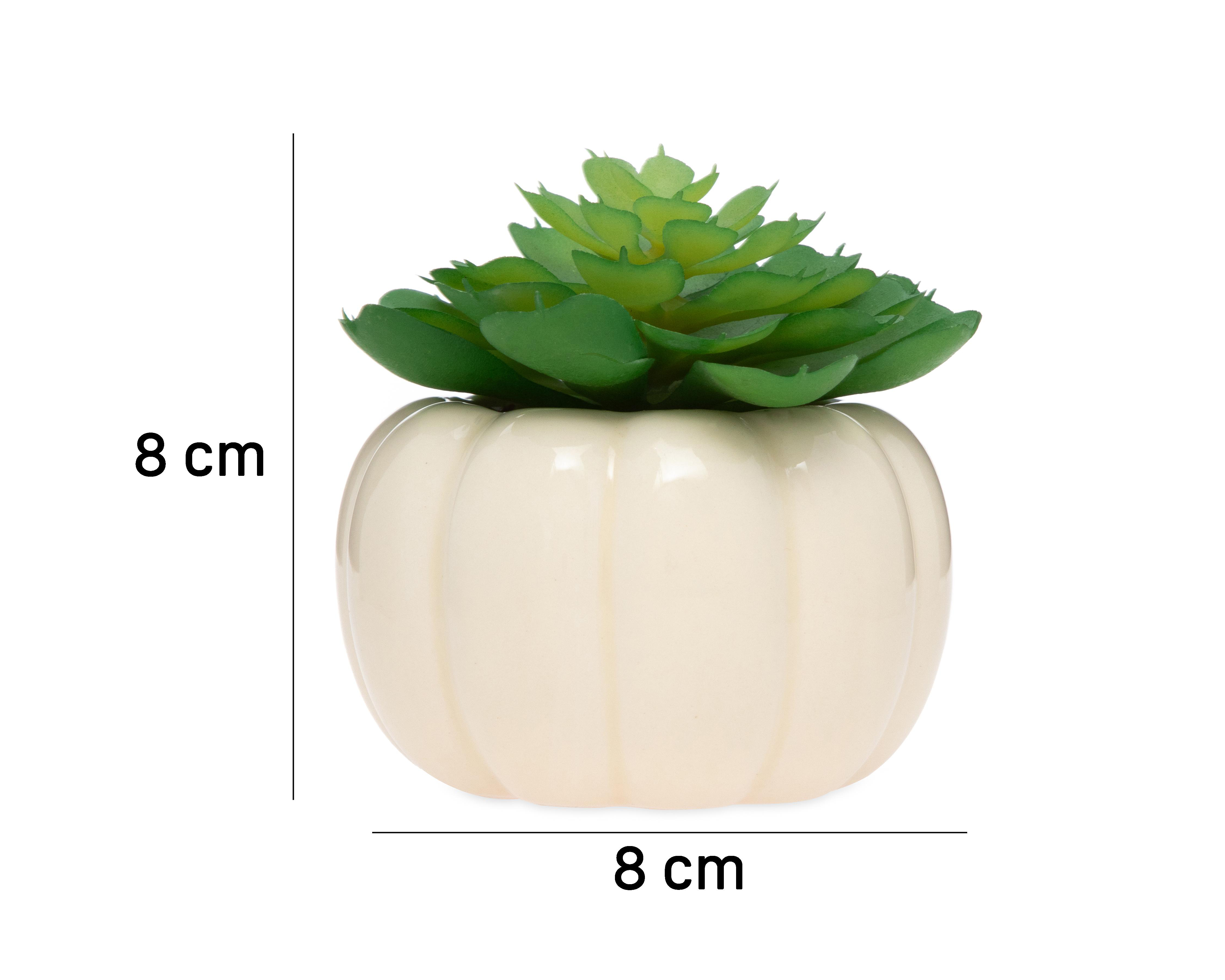 Foto 5 | Suculenta Artificial con Maceta Starhaus 8 cm