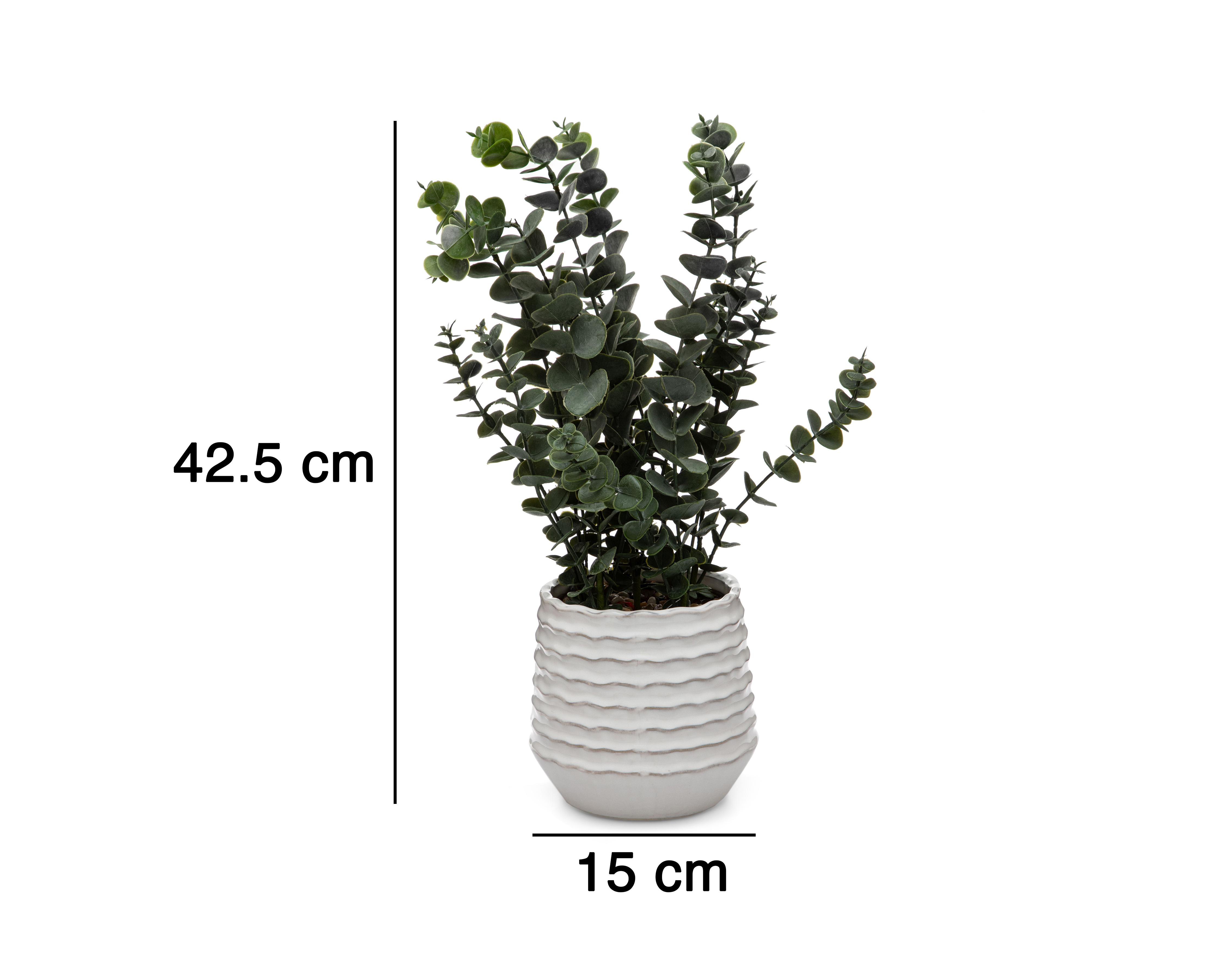 Foto 6 pulgar | Eucalipto Artificial con Maceta Starhaus 42.5 cm
