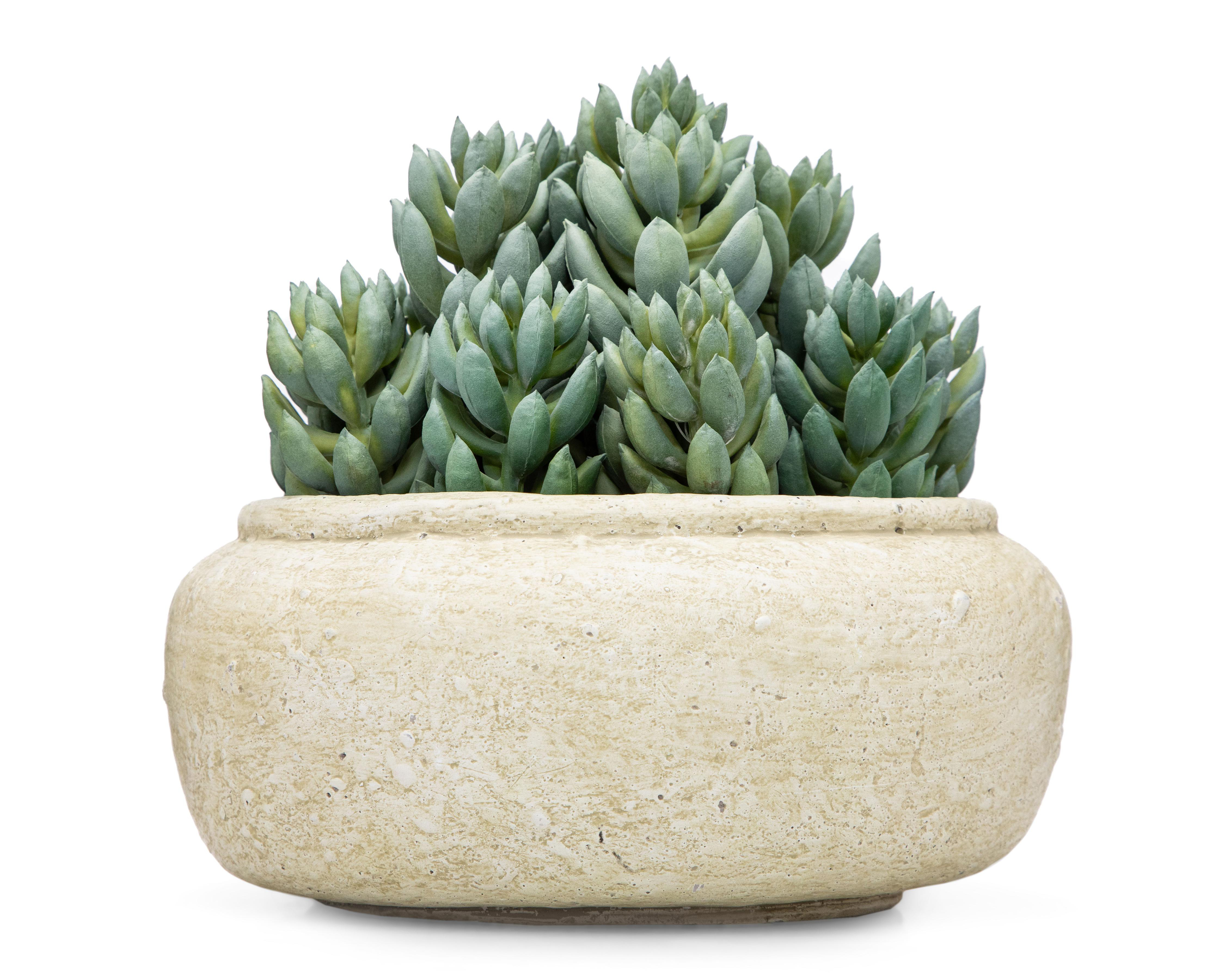 Suculenta Artificial con Maceta Starhaus 18 cm $499