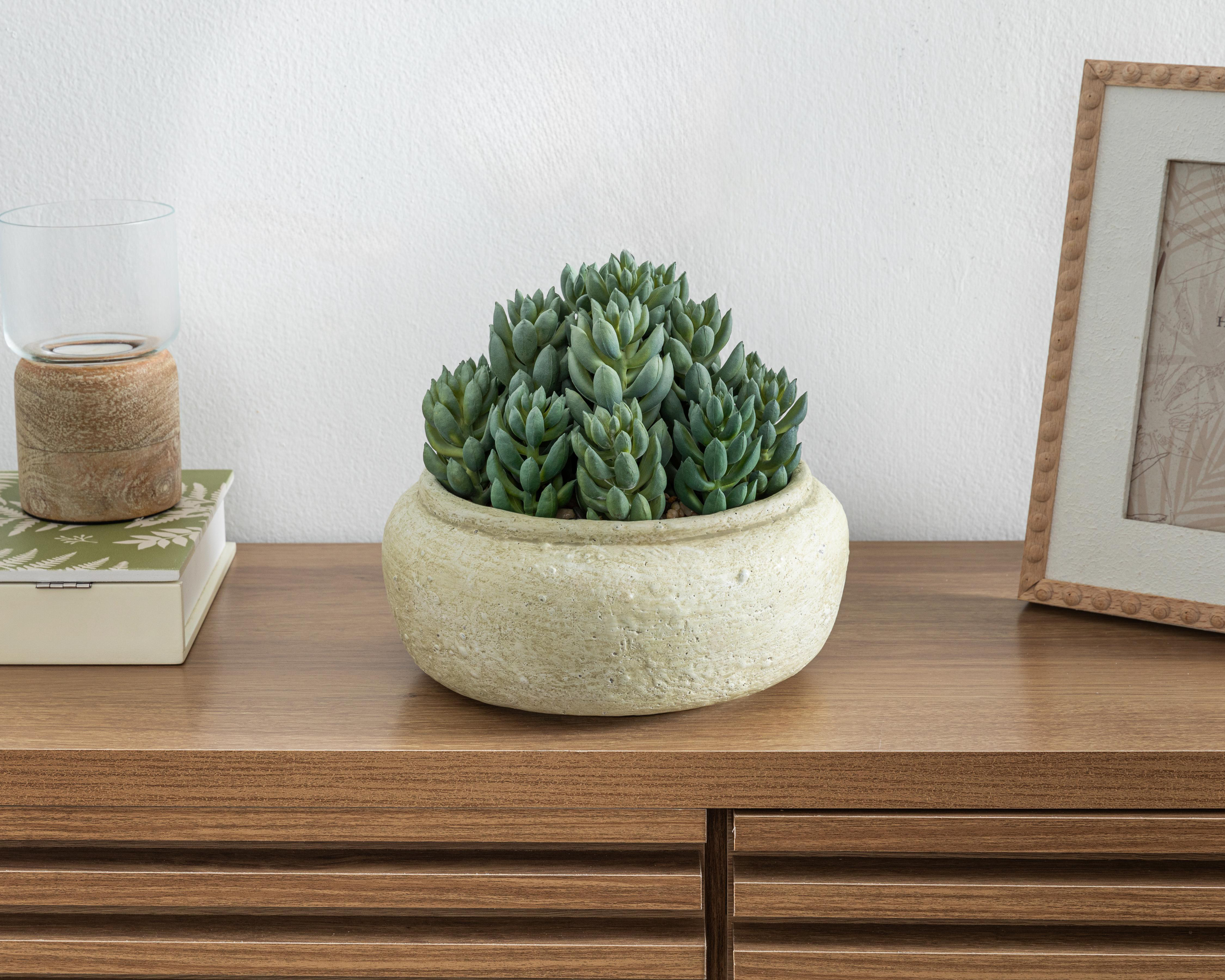 Foto 4 | Suculenta Artificial con Maceta Starhaus 18 cm