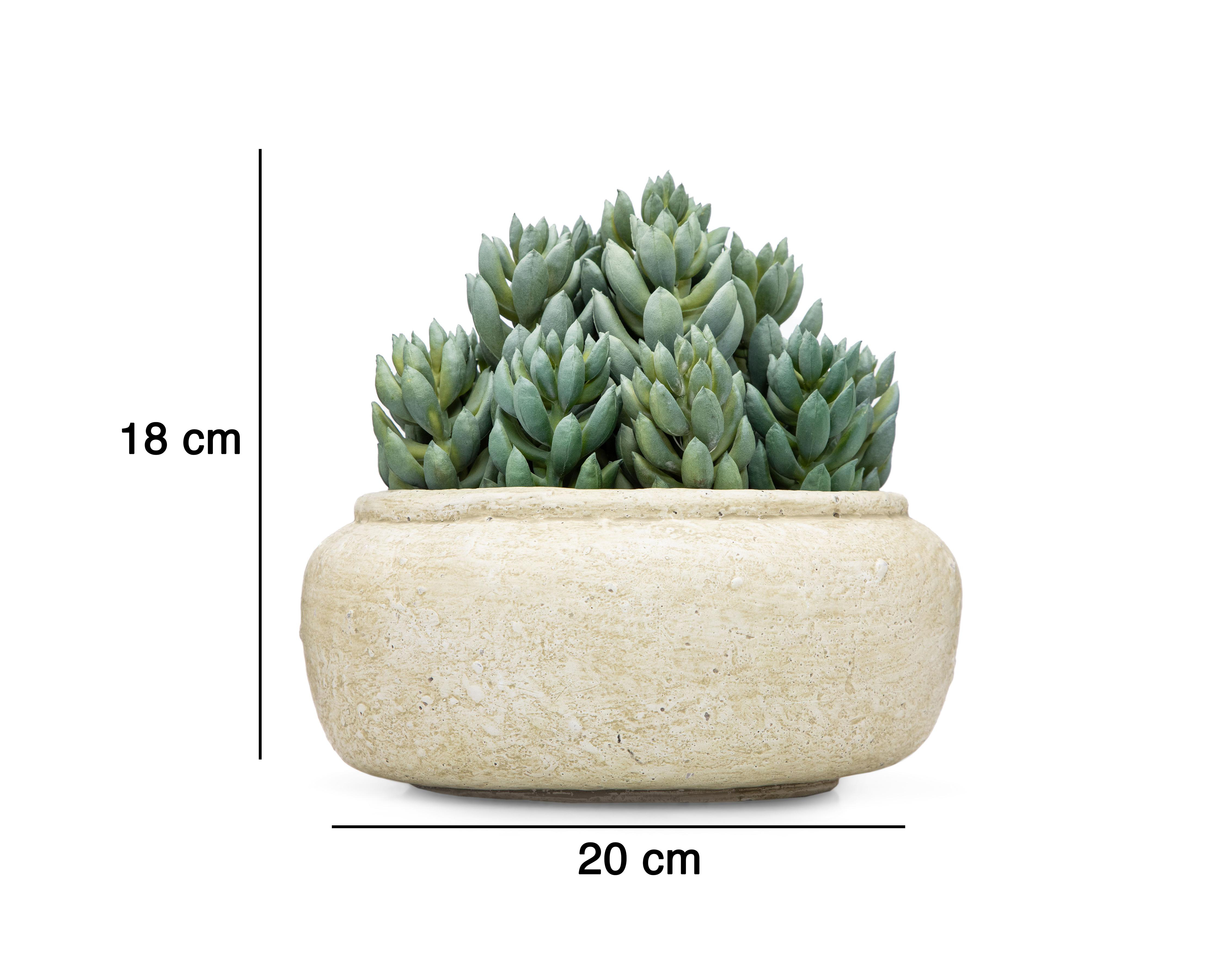Foto 5 | Suculenta Artificial con Maceta Starhaus 18 cm