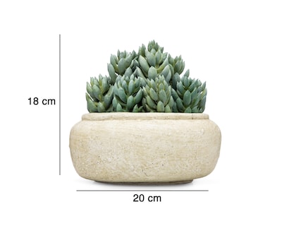 Foto 5 | Suculenta Artificial con Maceta Starhaus 18 cm