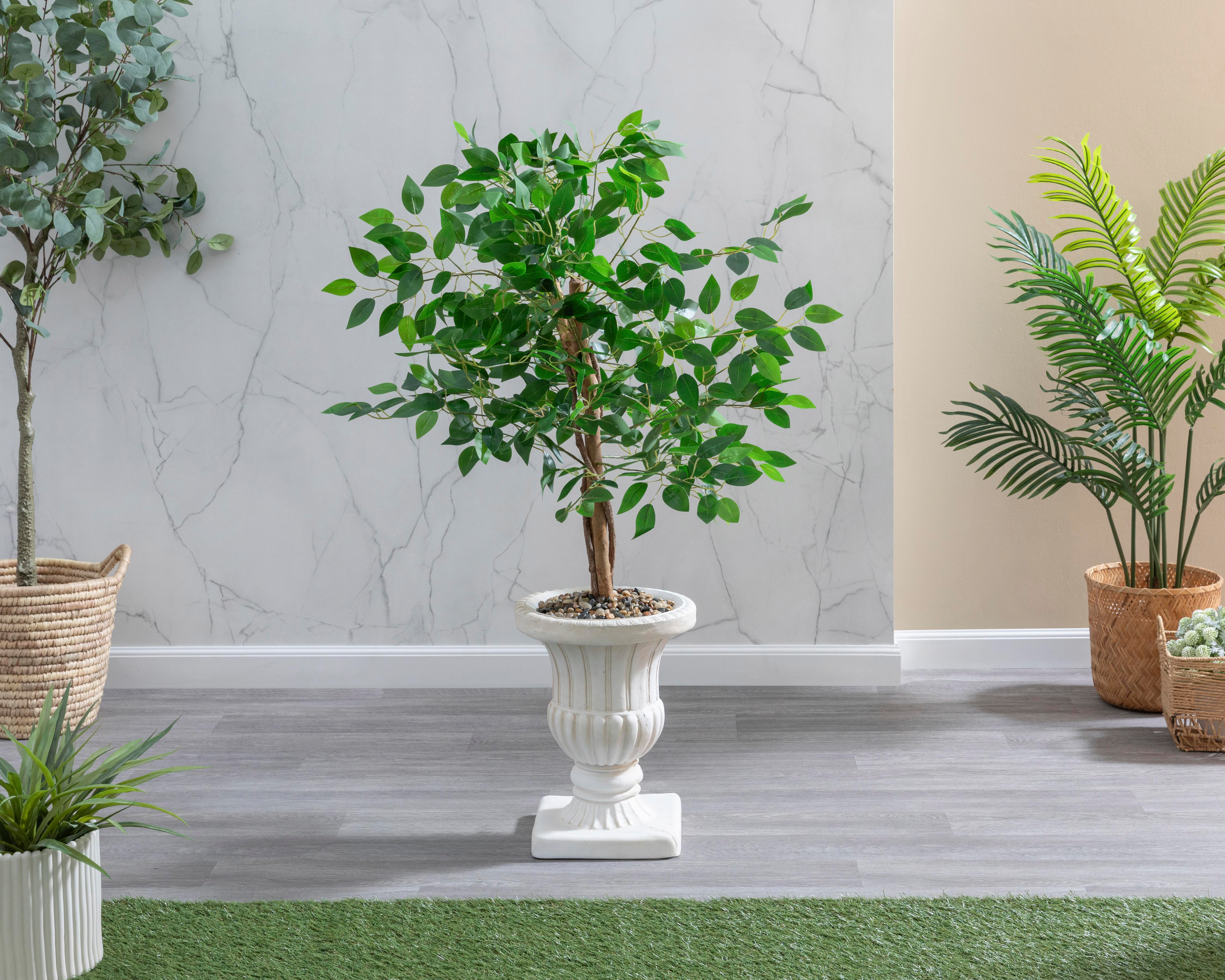 Foto 2 pulgar | Ficus con Maceta Starhaus 120 cm