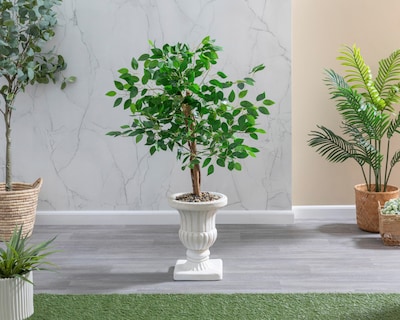 Foto 1 | Ficus con Maceta Starhaus 120 cm