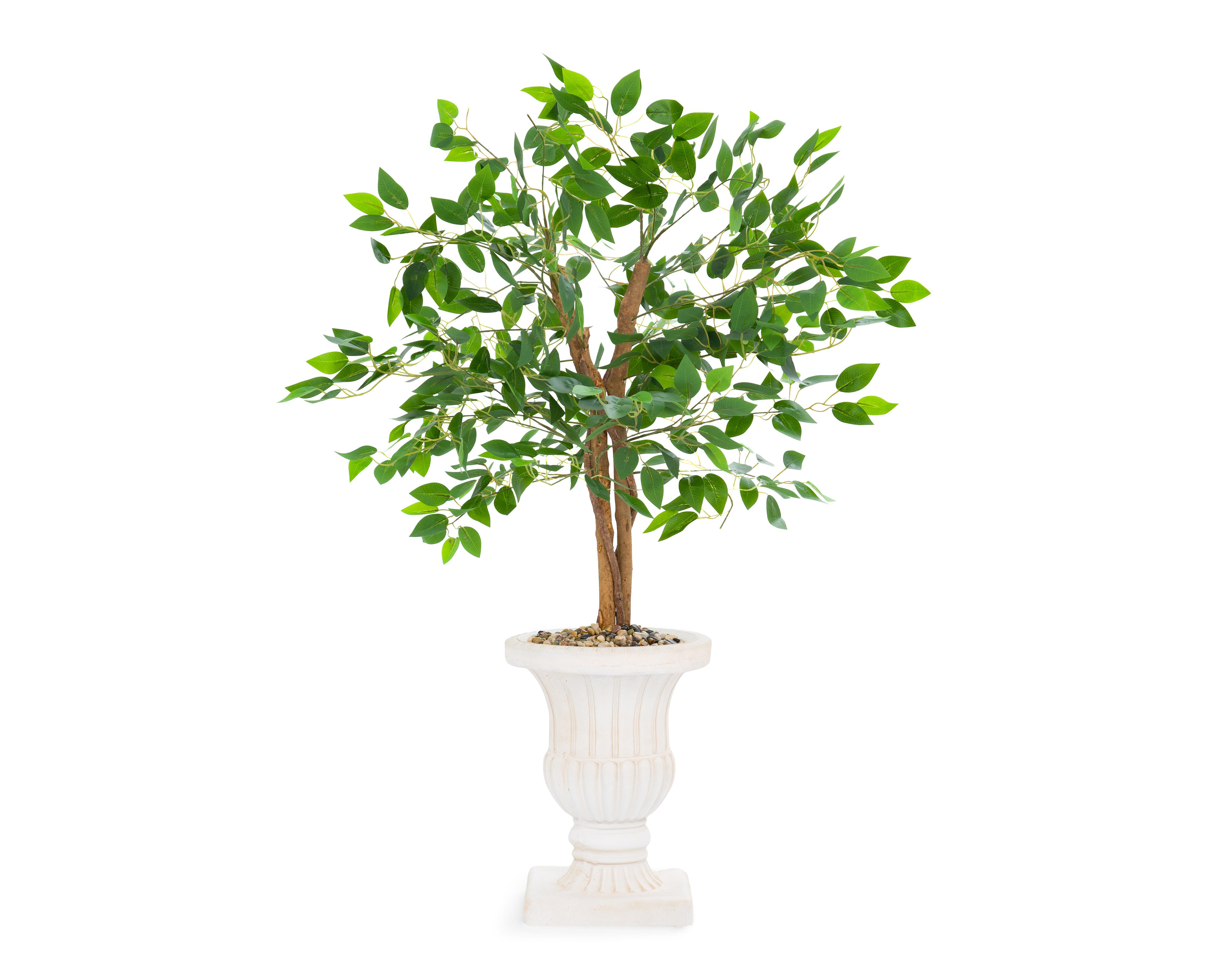 Foto 3 pulgar | Ficus con Maceta Starhaus 120 cm