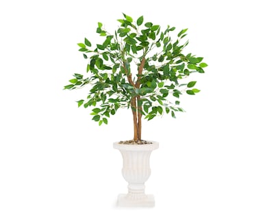 Foto 2 | Ficus con Maceta Starhaus 120 cm