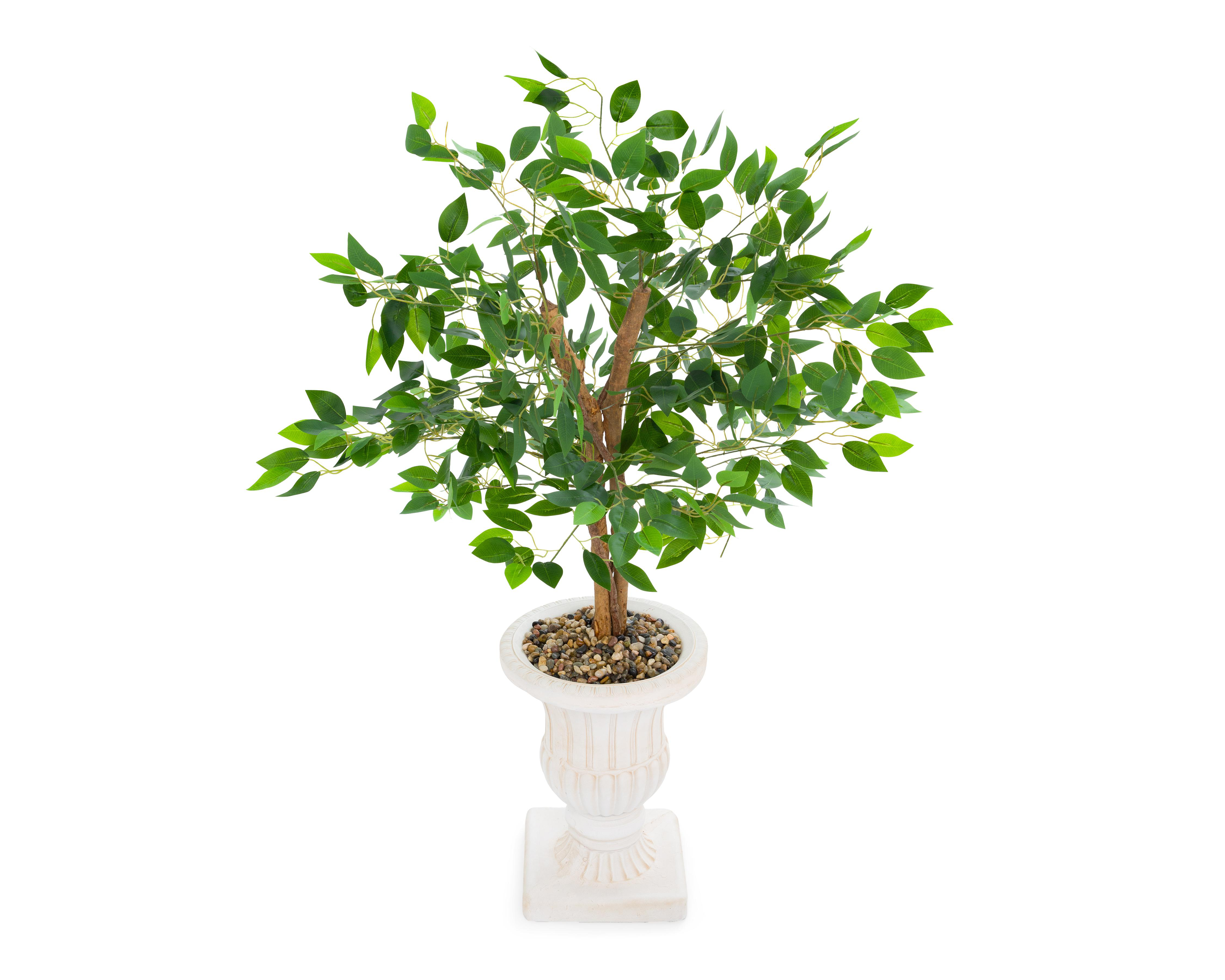 Foto 4 pulgar | Ficus con Maceta Starhaus 120 cm