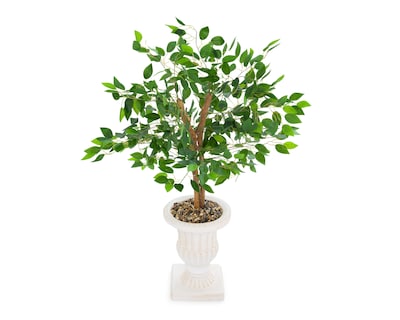 Foto 3 | Ficus con Maceta Starhaus 120 cm