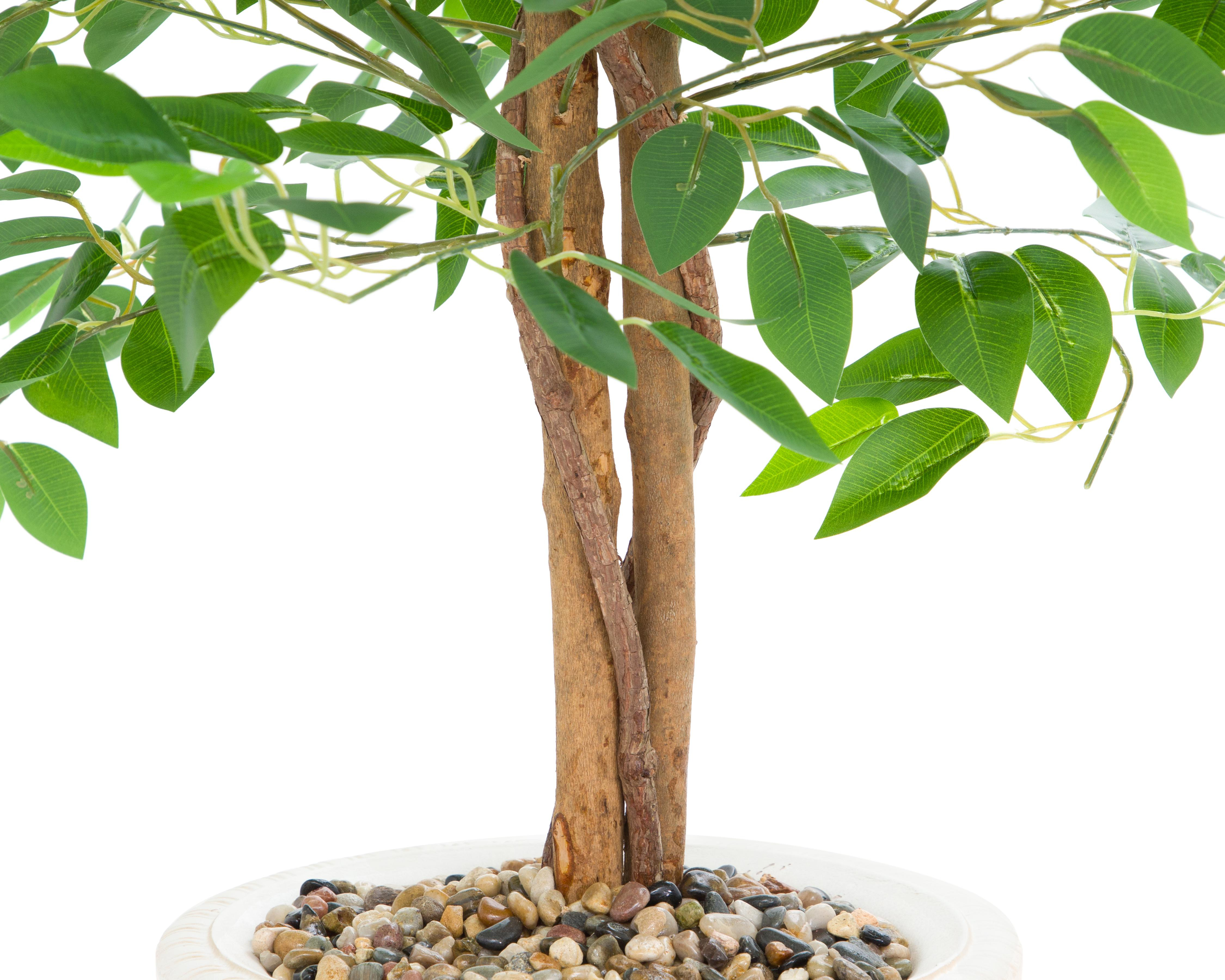 Foto 5 pulgar | Ficus con Maceta Starhaus 120 cm