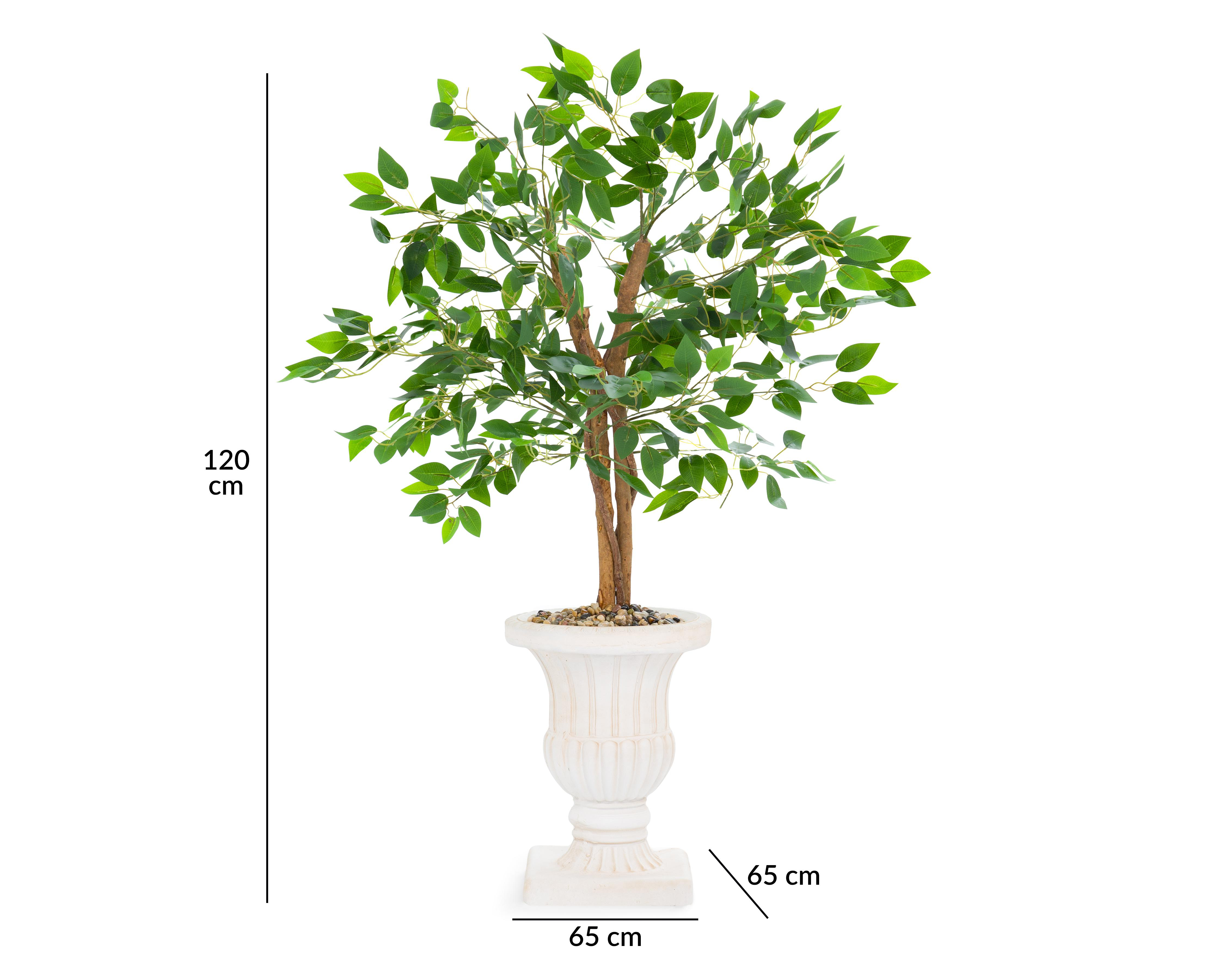 Foto 6 pulgar | Ficus con Maceta Starhaus 120 cm