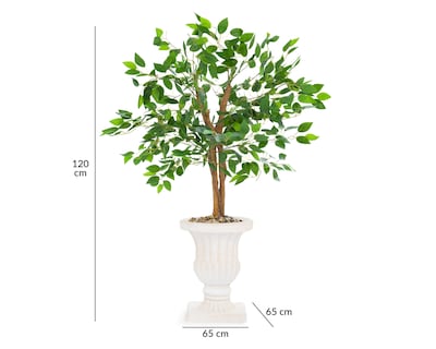Foto 5 | Ficus con Maceta Starhaus 120 cm