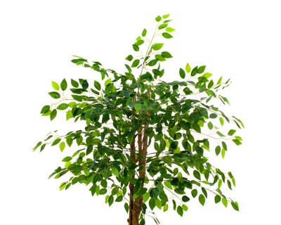 Foto 4 | Ficus Artificial con Maceta Starhaus 160 cm