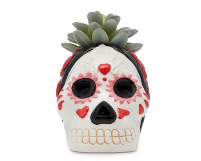Foto 1 | Suculenta Día de Muertos con Maceta Starhaus 13 cm