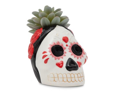 Foto 2 | Suculenta Día de Muertos con Maceta Starhaus 13 cm
