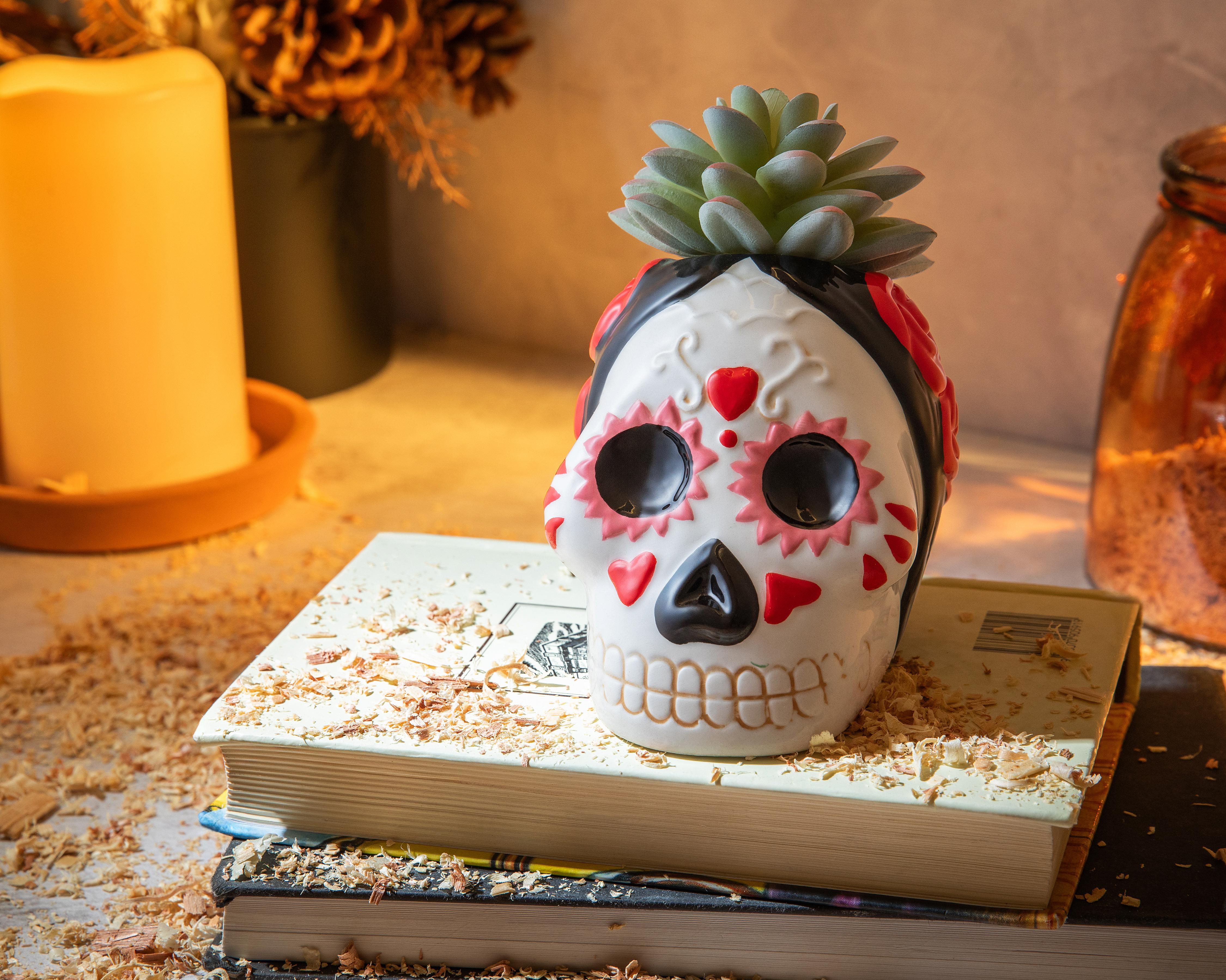 Foto 5 pulgar | Suculenta Día de Muertos con Maceta Starhaus 13 cm