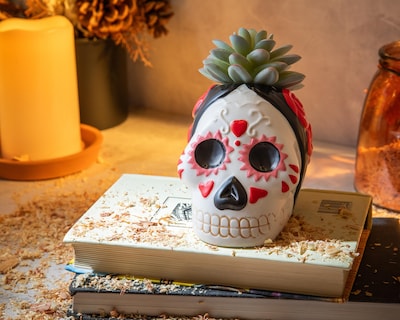 Foto 4 | Suculenta Día de Muertos con Maceta Starhaus 13 cm