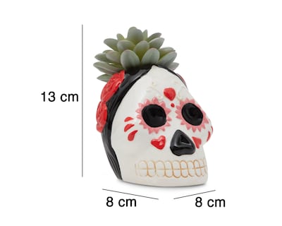 Foto 5 | Suculenta Día de Muertos con Maceta Starhaus 13 cm