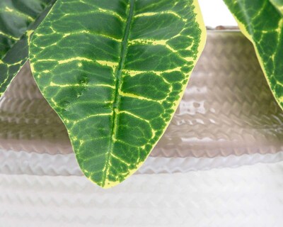 Foto 3 | Planta Artificial con Maceta Starhaus 16 cm