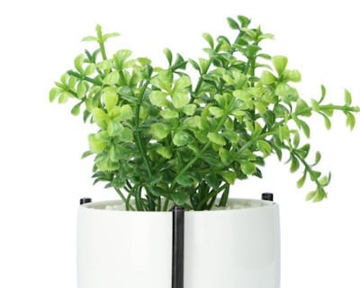Foto 3 | Planta Decorativa Florelena de 20 cm