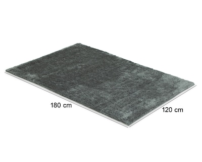 Foto 5 | Tapete para Sala Fossil 180 x 120 cm