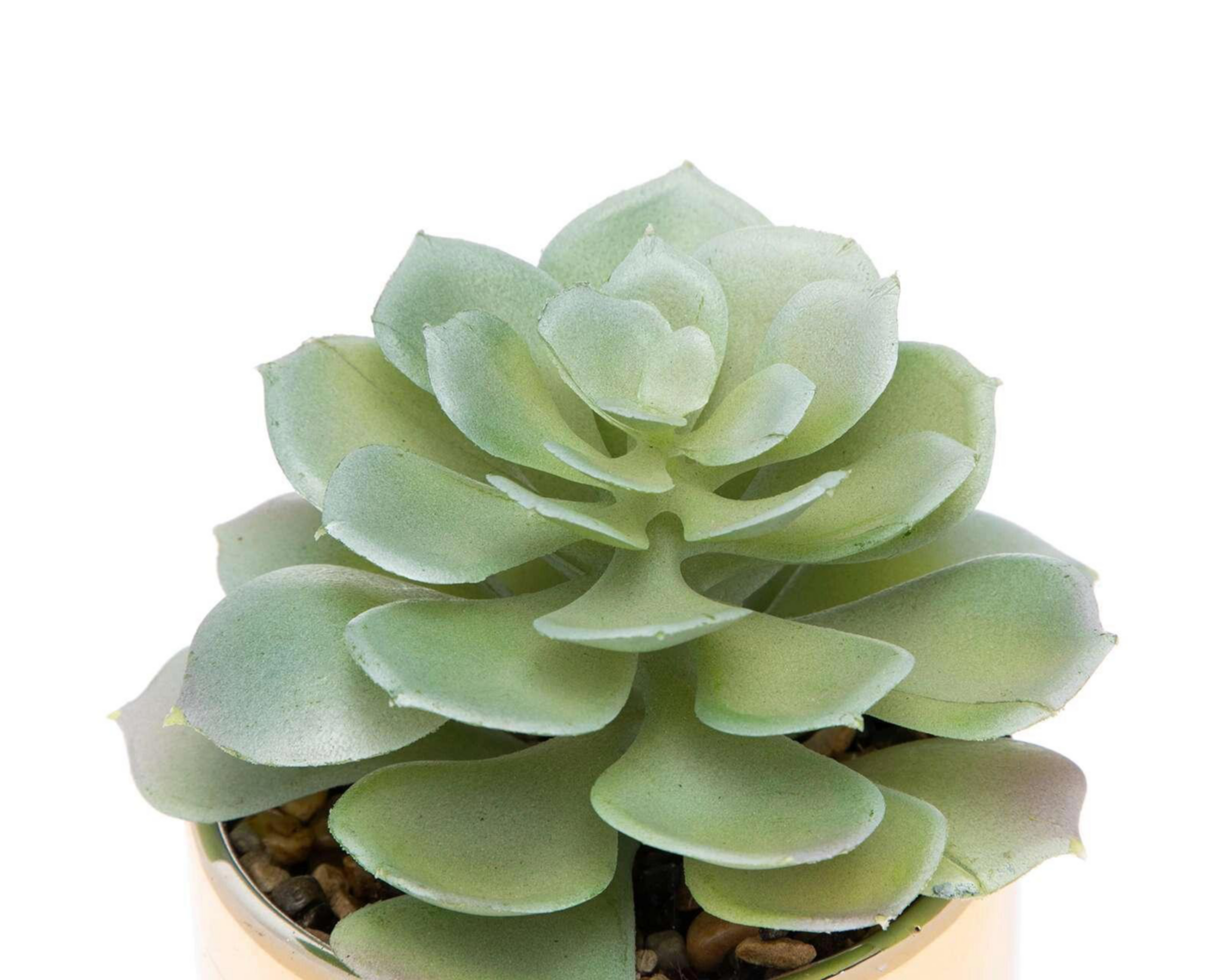 Foto 4 pulgar | Planta Artificial con Maceta Starhaus 15 cm