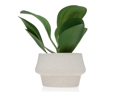 Foto 1 | Suculenta Artificial con Maceta Starhaus 22.5 cm