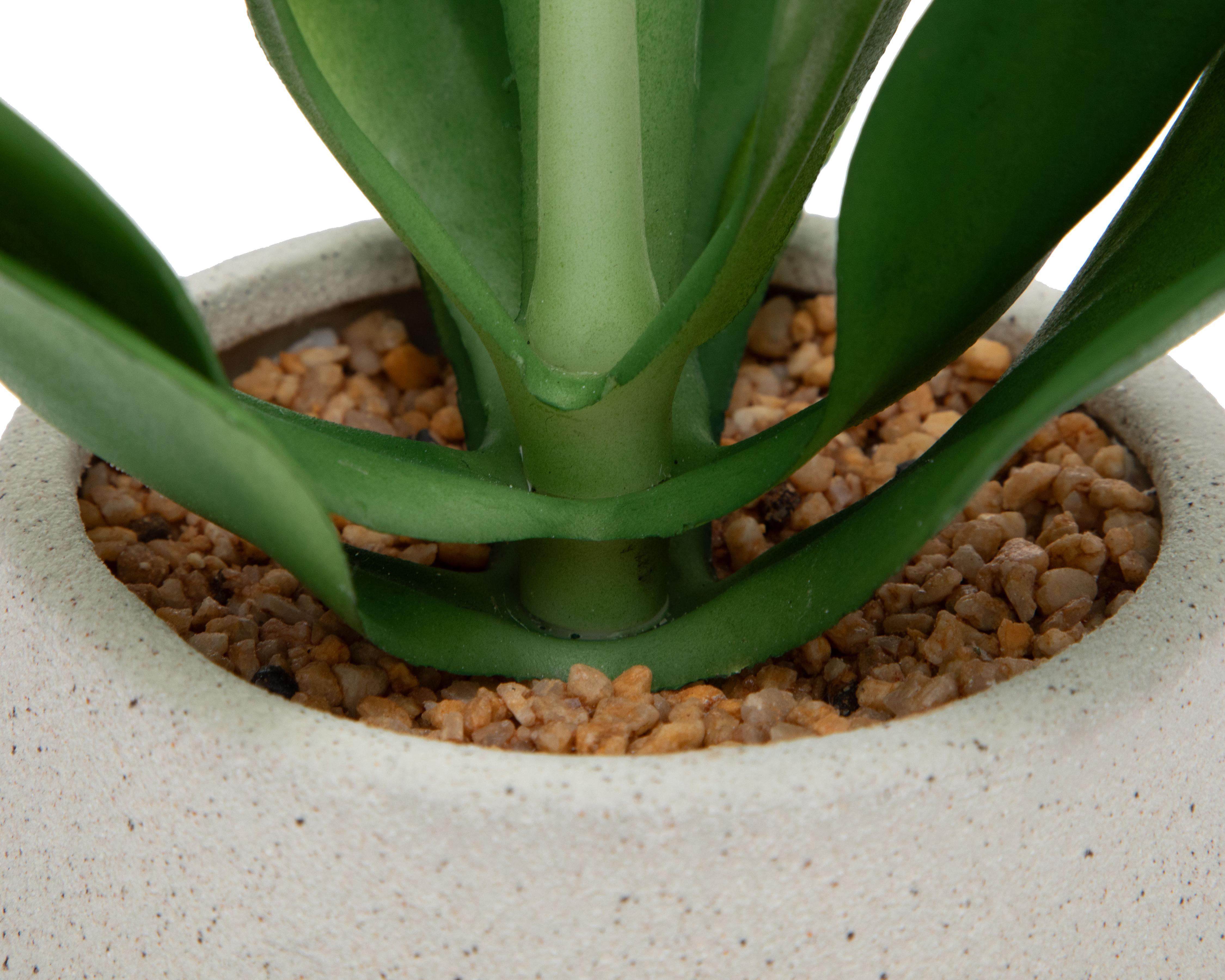 Foto 3 | Suculenta Artificial con Maceta Starhaus 22.5 cm
