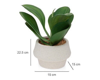 Foto 5 | Suculenta Artificial con Maceta Starhaus 22.5 cm