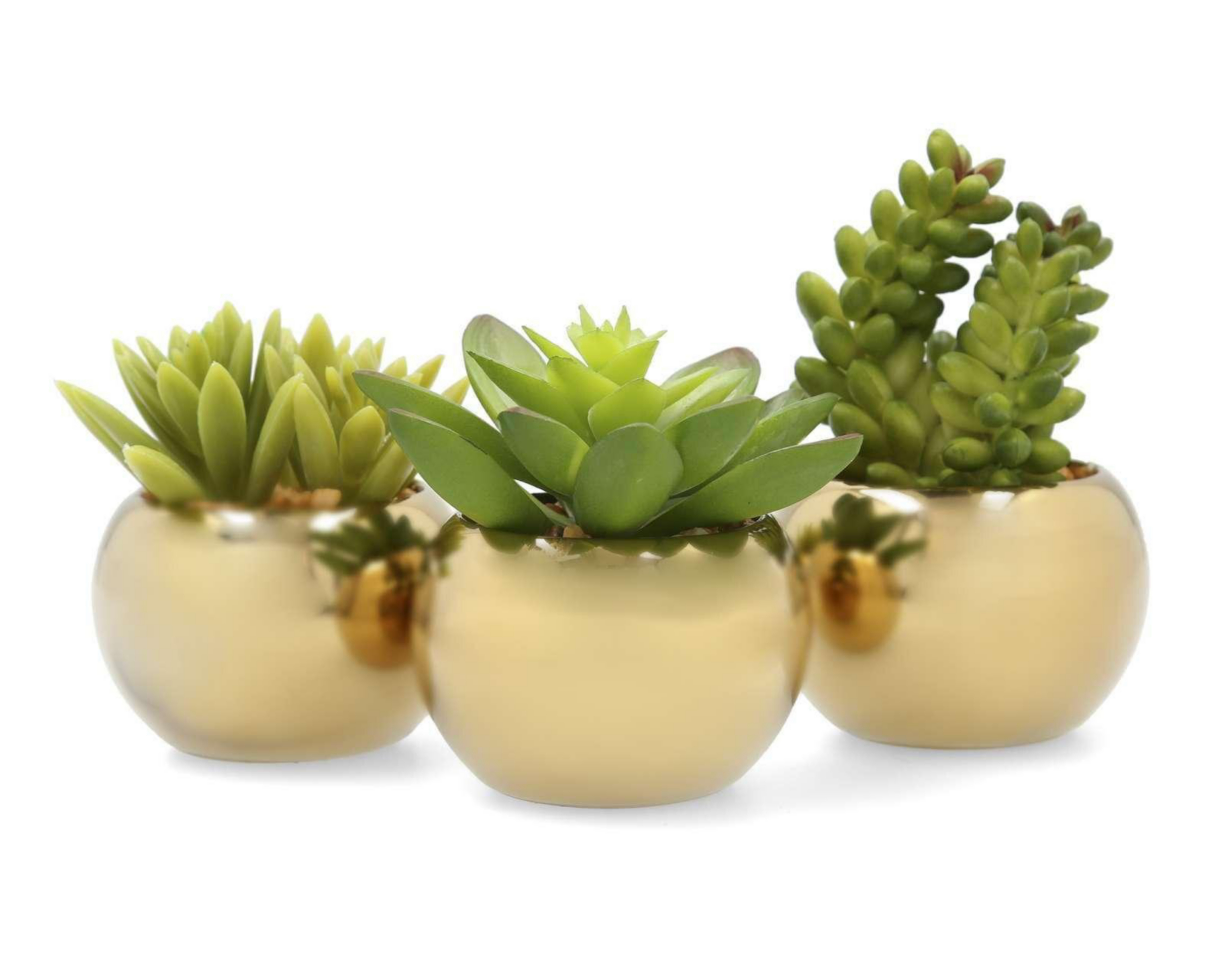 Foto 3 pulgar | Set de Plantas Decorativas Starhaus