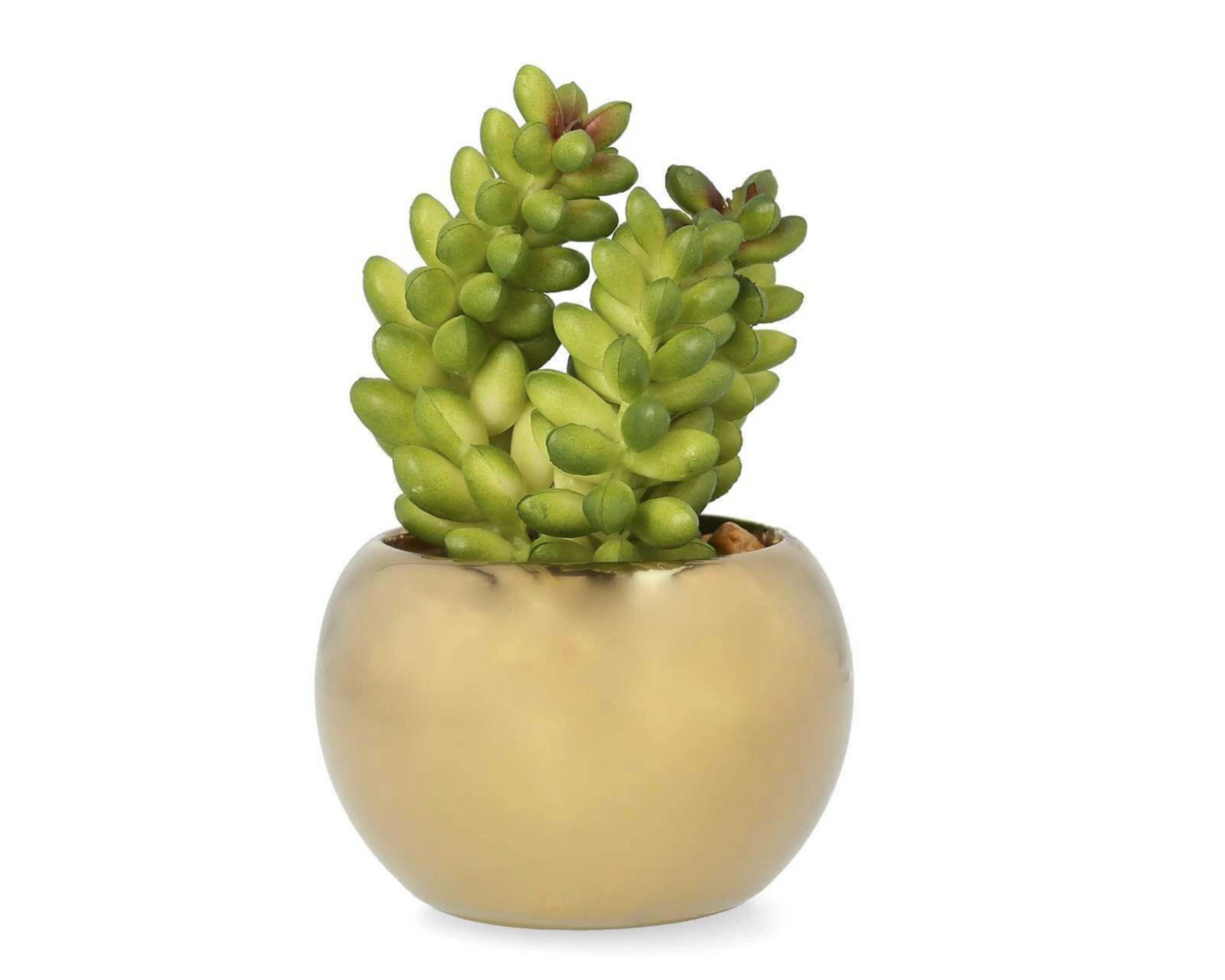 Foto 4 pulgar | Set de Plantas Decorativas Starhaus